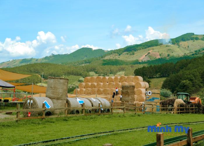Review Nông trại cừu Chika Farm Đà Lạt theo phong cách Châu Âu