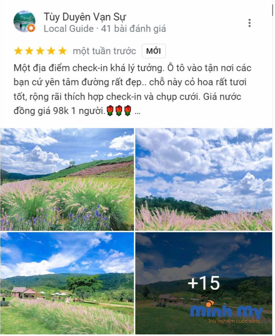 Review vườn Hoa trong Rừng Đà Lạt - Thiên đường các loài hoa