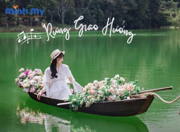 Rừng Giao Hưởng - Khu rừng thần tiên giữa lòng Đà Lạt