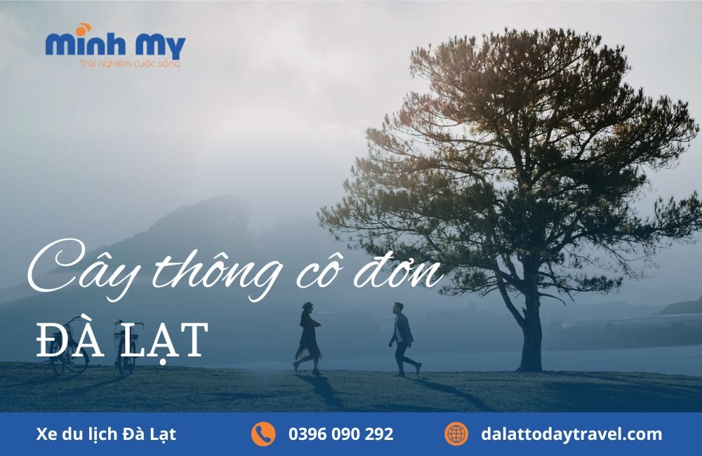 Cuối tuần cắm trại tại cây thông cô đơn Đà Lạt