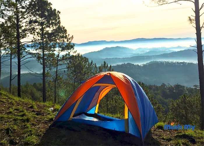 TOP 8 địa chỉ camping Đà Lạt "đốn tim" mọi phượt thủ