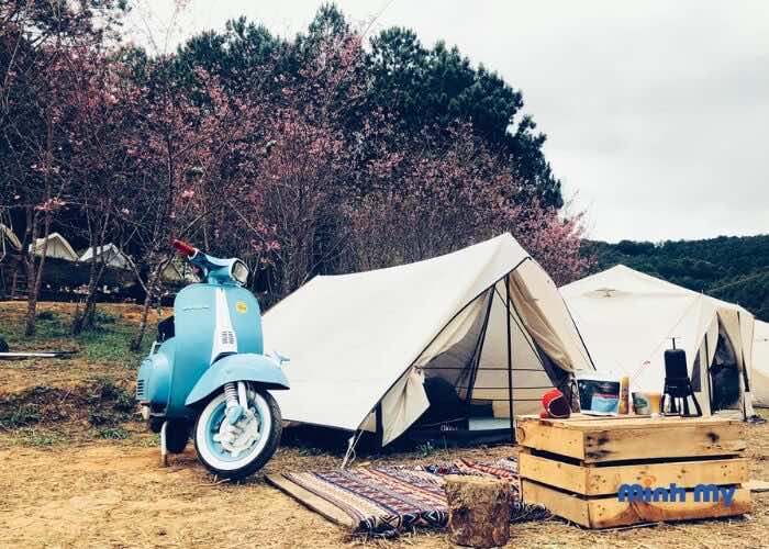 TOP 8 địa điểm glamping Đà Lạt "chill" hết nấc