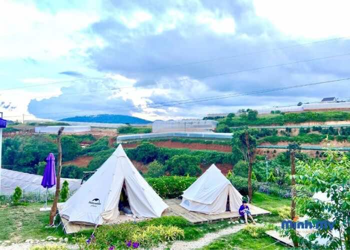 TOP 8 địa điểm glamping Đà Lạt "chill" hết nấc