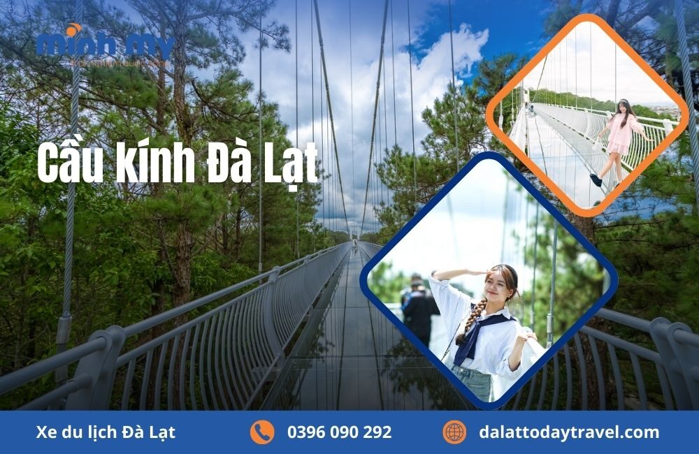 Bạn đã sẵn sàng thử thách bản thân tại cầu kính Đà Lạt chưa?