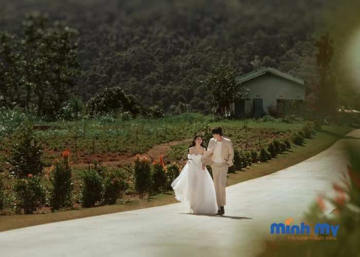 TOP 8 Địa điểm chụp ảnh cưới Đà Lạt "đẹp như mơ"