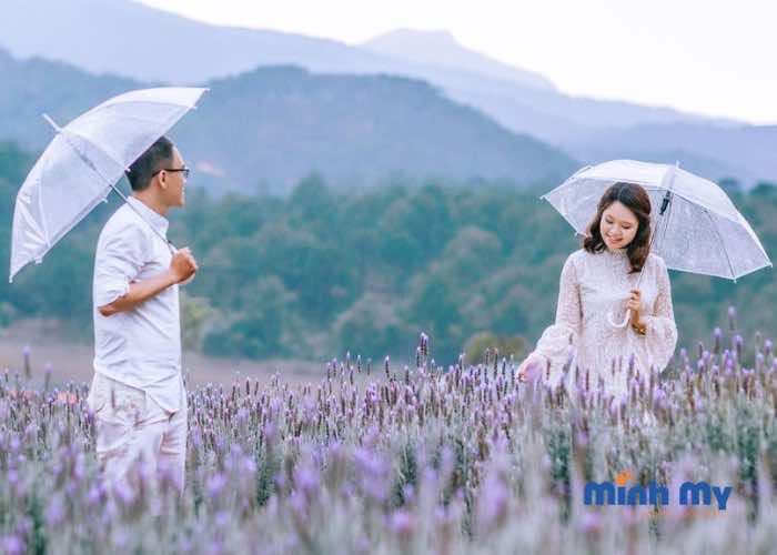 TOP 8 Địa điểm chụp ảnh cưới Đà Lạt "đẹp như mơ"
