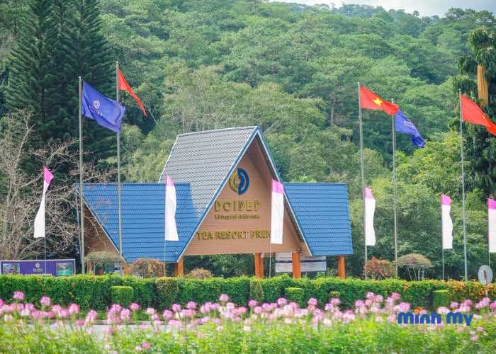 Tea Resort Prenn - Biển nhân tạo lớn nhất tại đèo Prenn