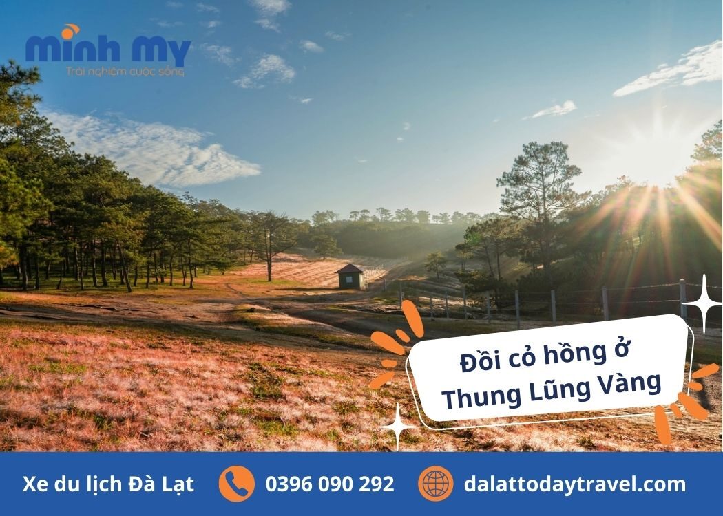 Review đồi cỏ hồng Đà Lạt và thời điểm thích hợp đến “bung lụa”