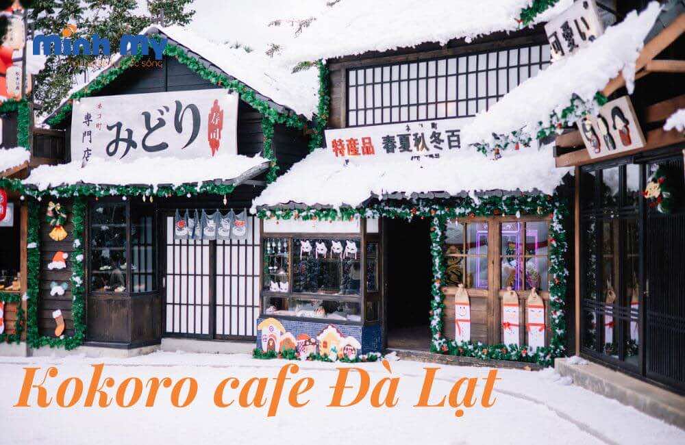 Đến Kokoro cafe Đà Lạt check in với cánh đồng tuyết trắng