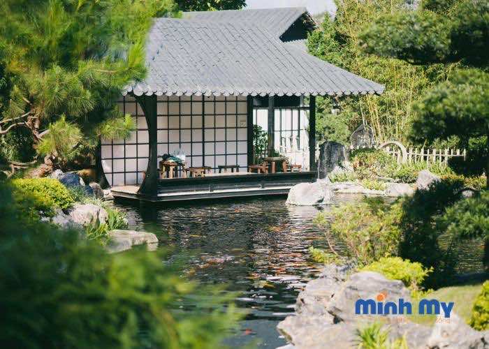 Review tất tần tật về Hoàng Long OHAYO mà bạn cần BIẾT!
