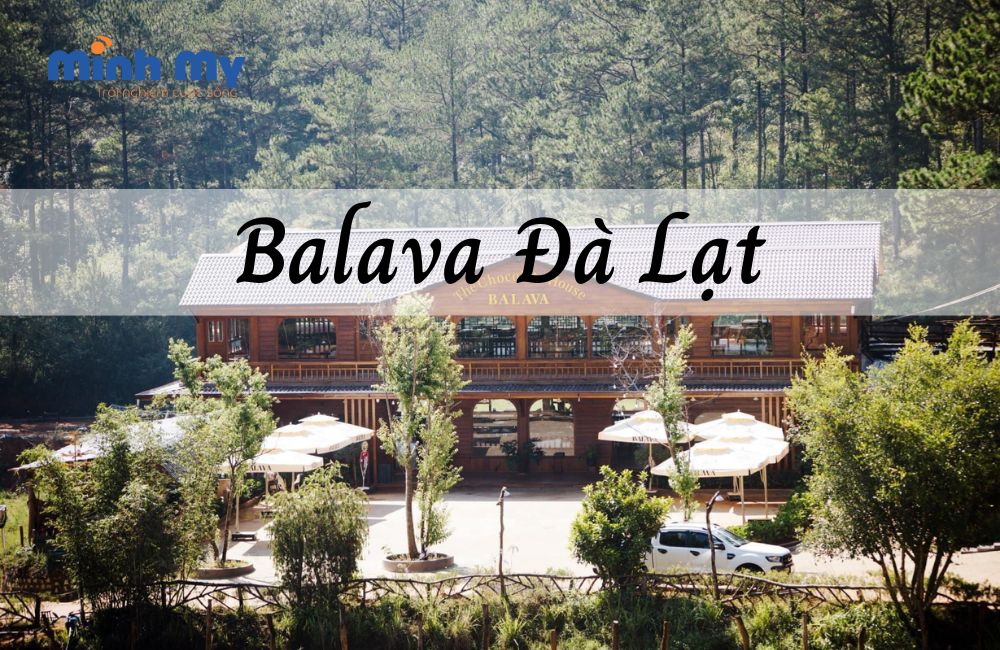 Đến Balava Đà Lạt tham gia nhiều hoạt động thú vị cho đội nhóm