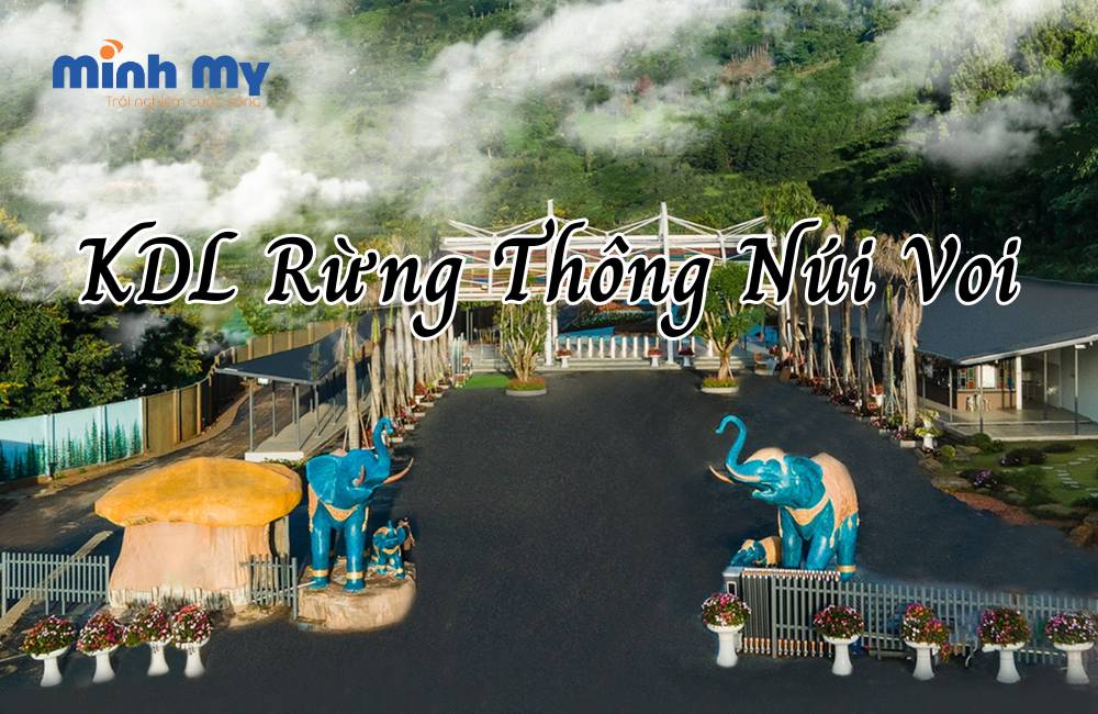 Kdl Rung Thong Nui Voi (1)