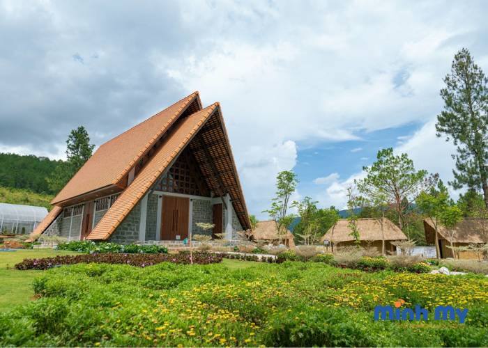 Kdl Rung Thong Nui Voi (6)