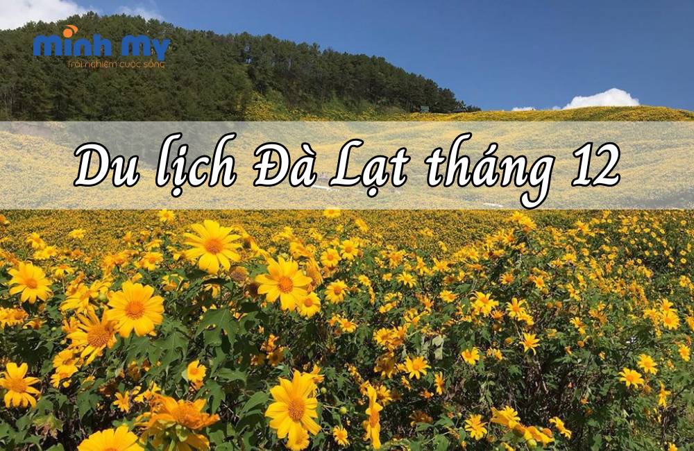 Du lịch Đà Lạt tháng 12 có gì hay, có gì thú vị?