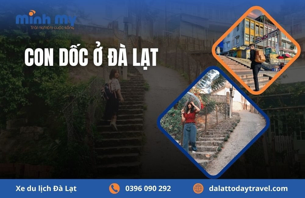 TOP 8 con dốc ở Đà Lạt gắn liền với những bộ phim nổi tiếng