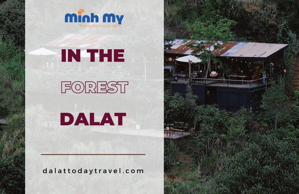 Đến In The Forest Đà Lạt chill với không gian xanh mát