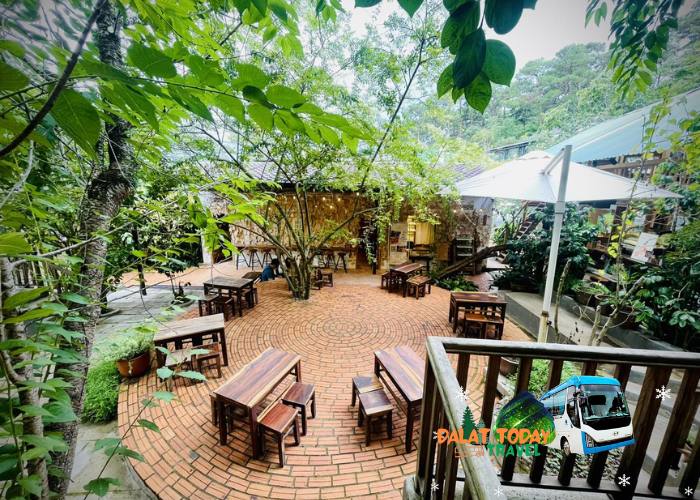 Tiem Tra Da Lat (2)