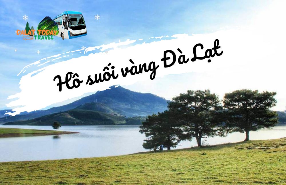 Ngất ngây cảnh đẹp Hồ Suối Vàng Đà Lạt - Nơi cắm trại Free