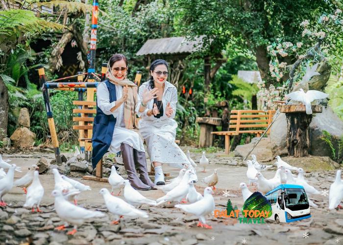 Review Khu du lịch Pini Đà Lạt - Điểm check in hot rần rần