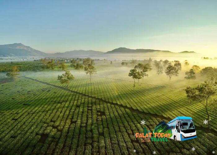 Thuê xe Đà Lạt đi Gia Lai