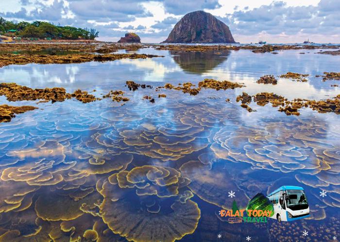 Thuê xe Đà Lạt đi Phú Yên