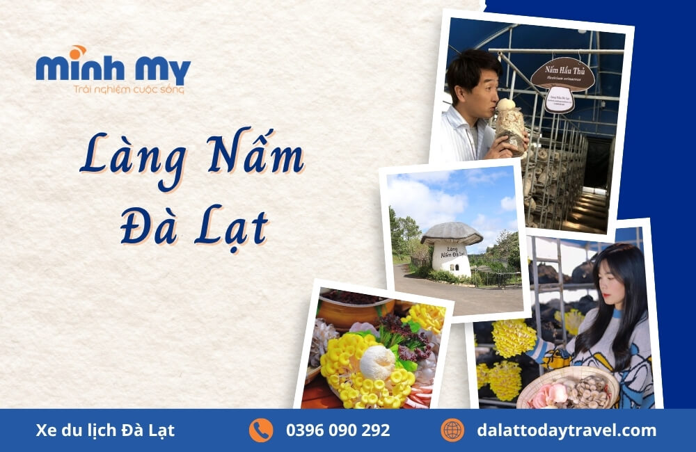 Đến Làng Nấm Đà Lạt trải nghiệm 1 0 2 tham quan và hái nấm