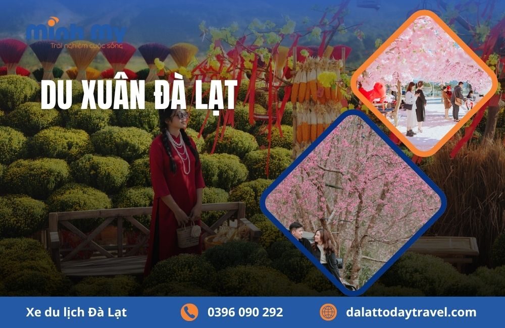 15 địa điểm du xuân Đà Lạt nhất định phải ghé dịp Tết 2026