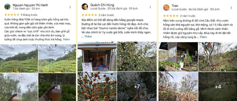 Du khách review Vườn hồng Nhà Tom