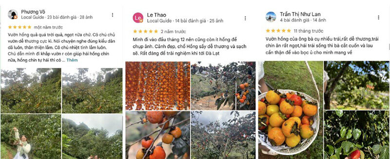 Du khách review Vườn hồng Ba Tài Đà Lạt