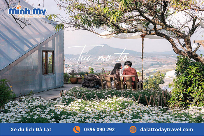 Check in Cúc Họa Mi cho cặp đôi tại Tiệm Cà Phê Túi Mơ To