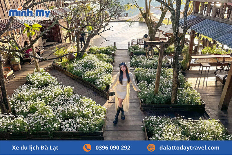Tiệm Cà Phê Bình Minh Ơi - check in vườn cúc